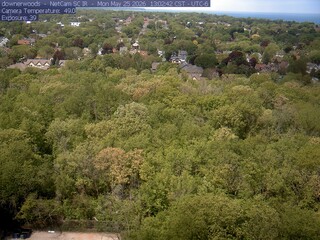 Downer Woods