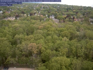 Downer Woods