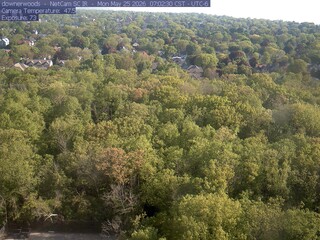 Downer Woods