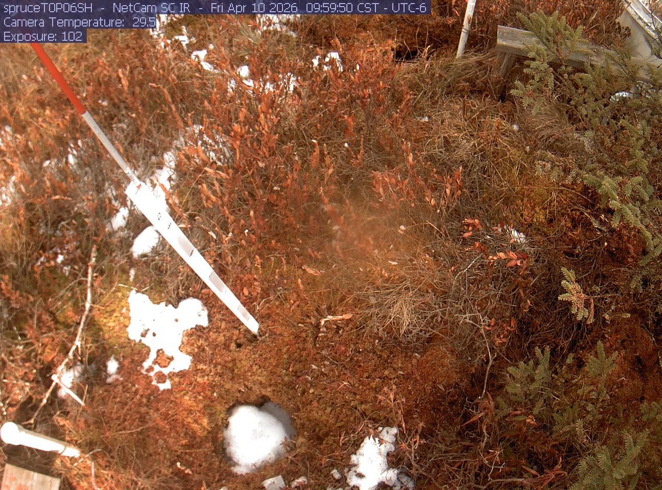 Webcam in Eveleth,United States