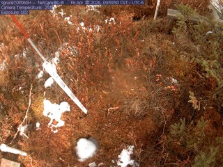 Webcam in Eveleth,United States