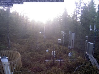 Spruce Views