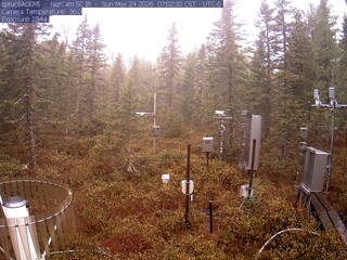 Spruce Views