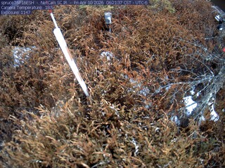 Webcam in Eveleth,United States