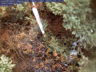 Webcam in Eveleth,United States