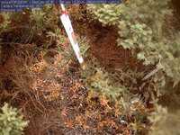 Webcam in Eveleth,United States