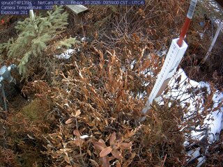 Webcam in Eveleth,United States