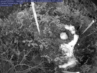 Webcam in Eveleth,United States