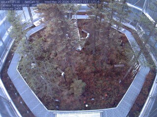 Webcam in Eveleth,United States