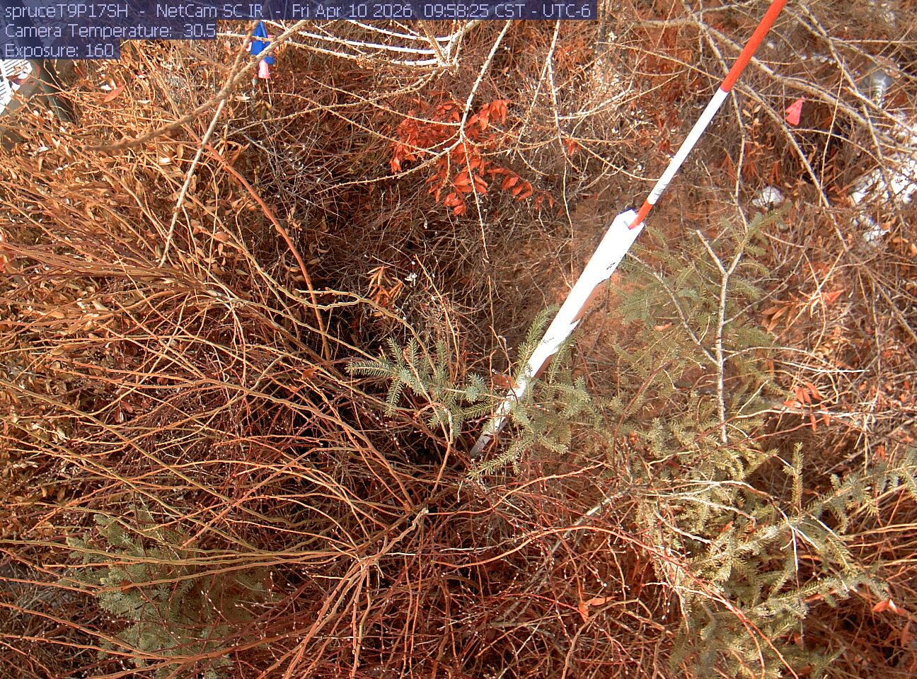 Webcam in Eveleth,United States