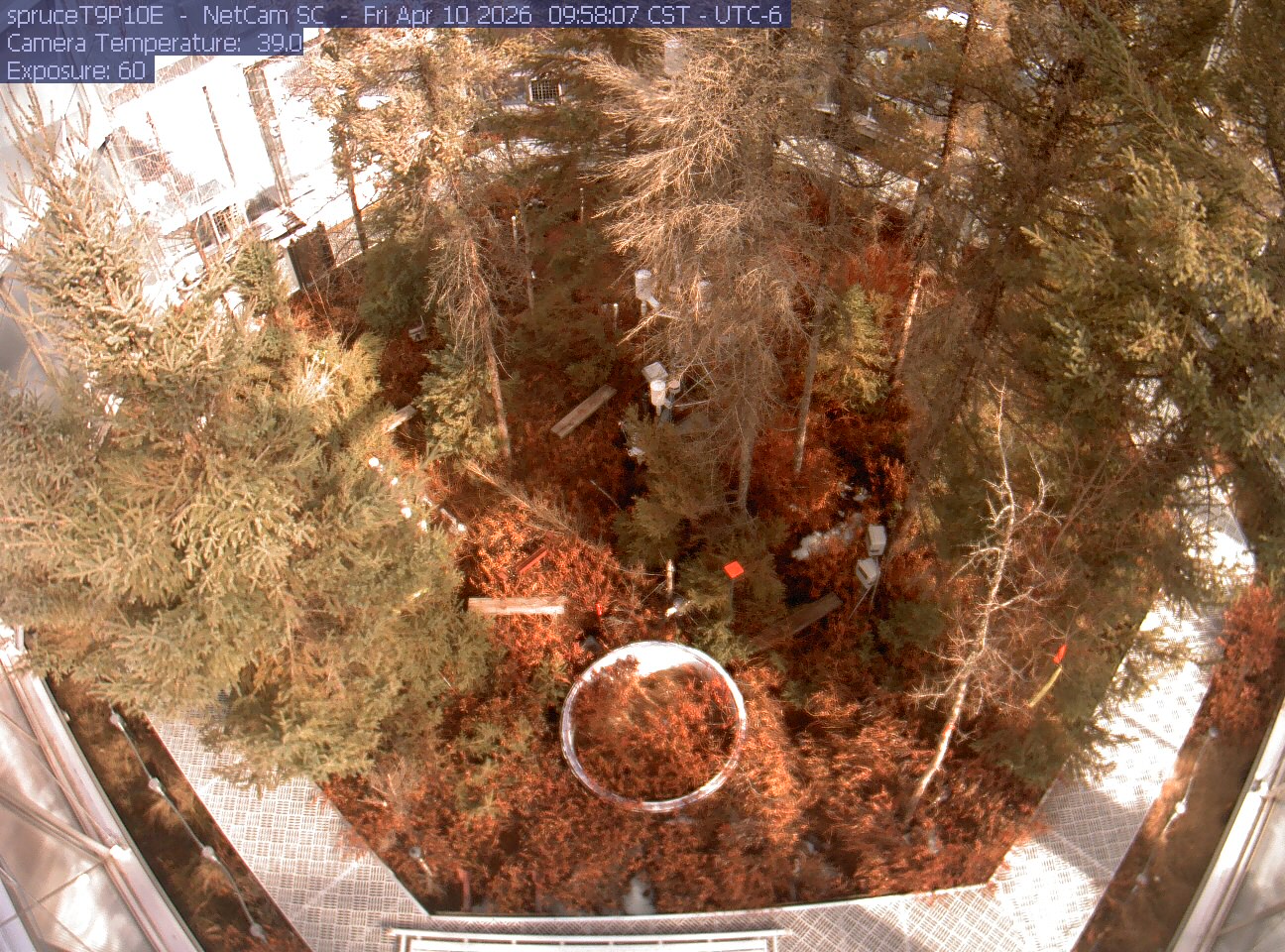 Webcam in Eveleth,United States