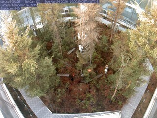 Spruce Views