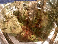 Spruce Views