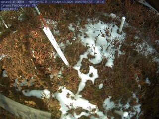 Webcam in Eveleth,United States