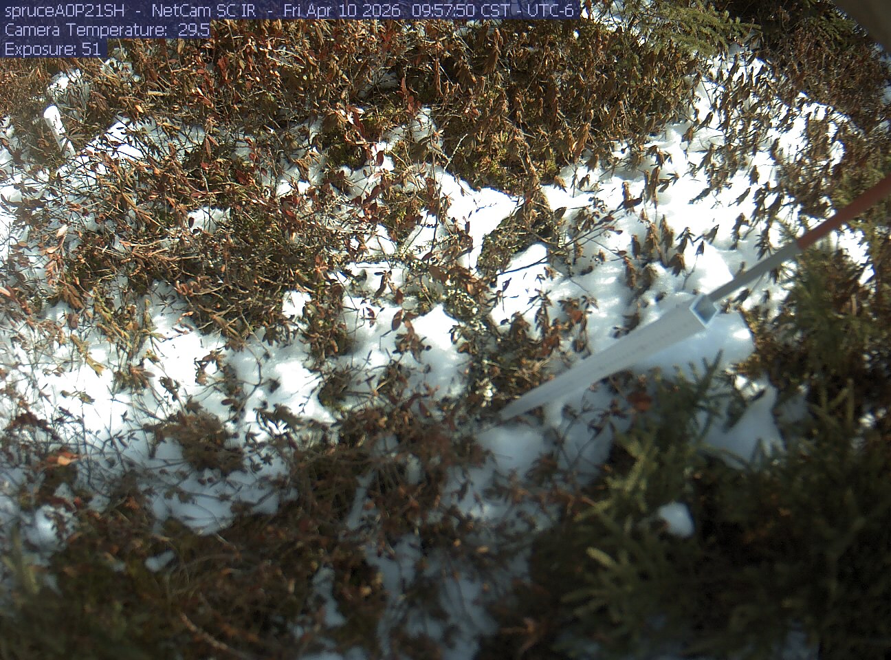 Webcam in Eveleth,United States