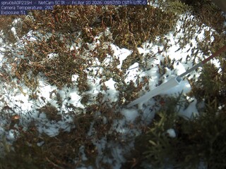 Webcam in Eveleth,United States