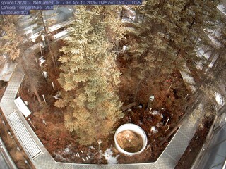 Webcam in Eveleth,United States