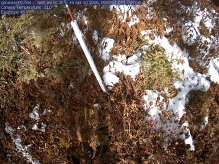 Webcam in Eveleth,United States