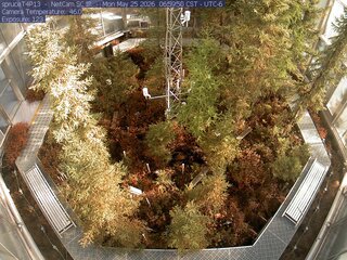 Spruce Views