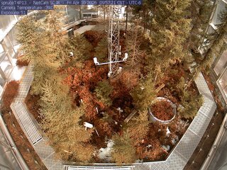 Webcam in Eveleth,United States