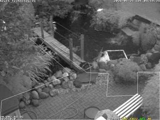 Koi pond in Highland Park