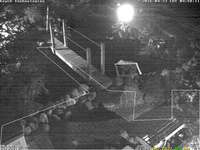 Koi pond in Highland Park