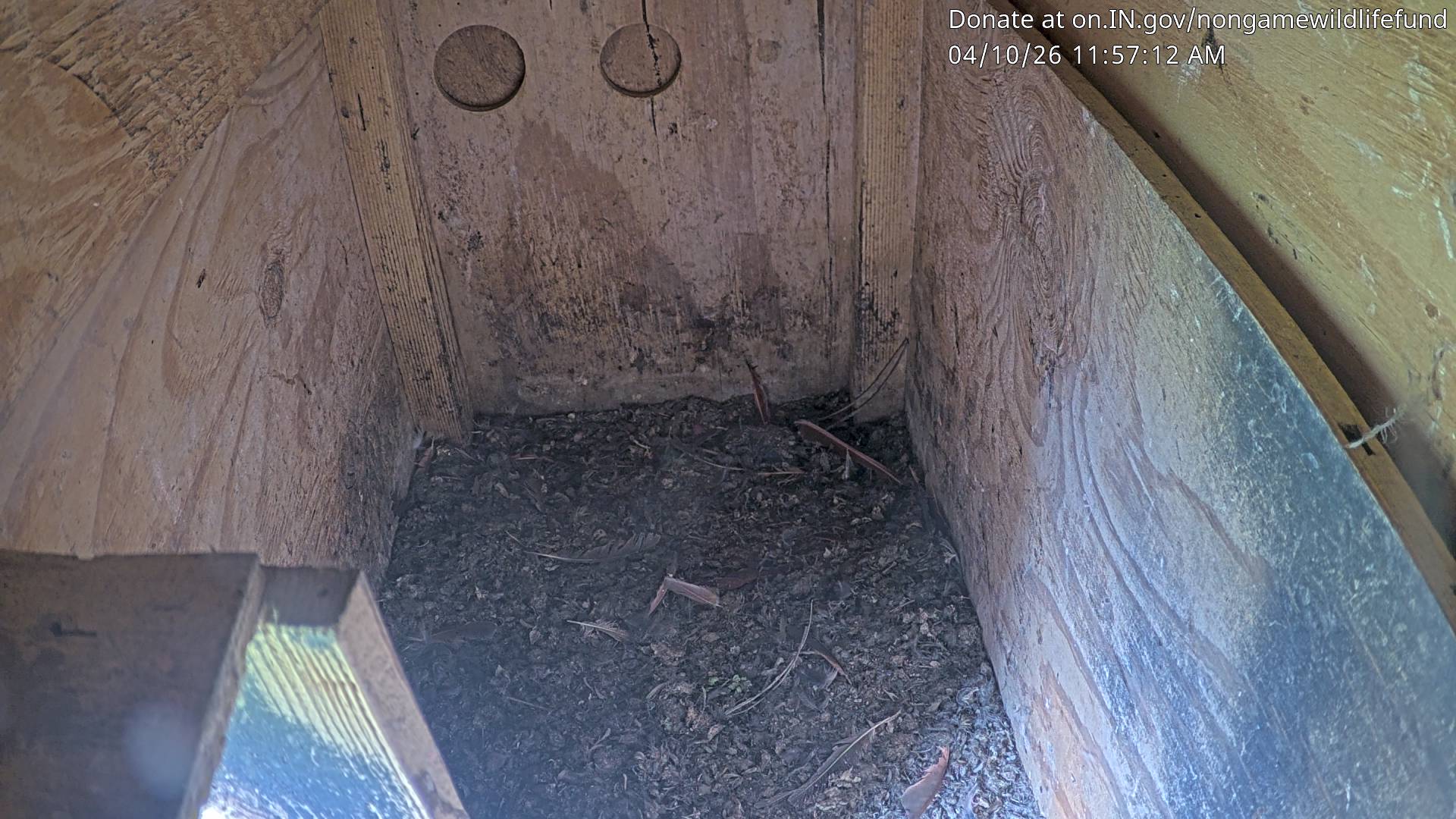 Webcam in Kansas City,United States