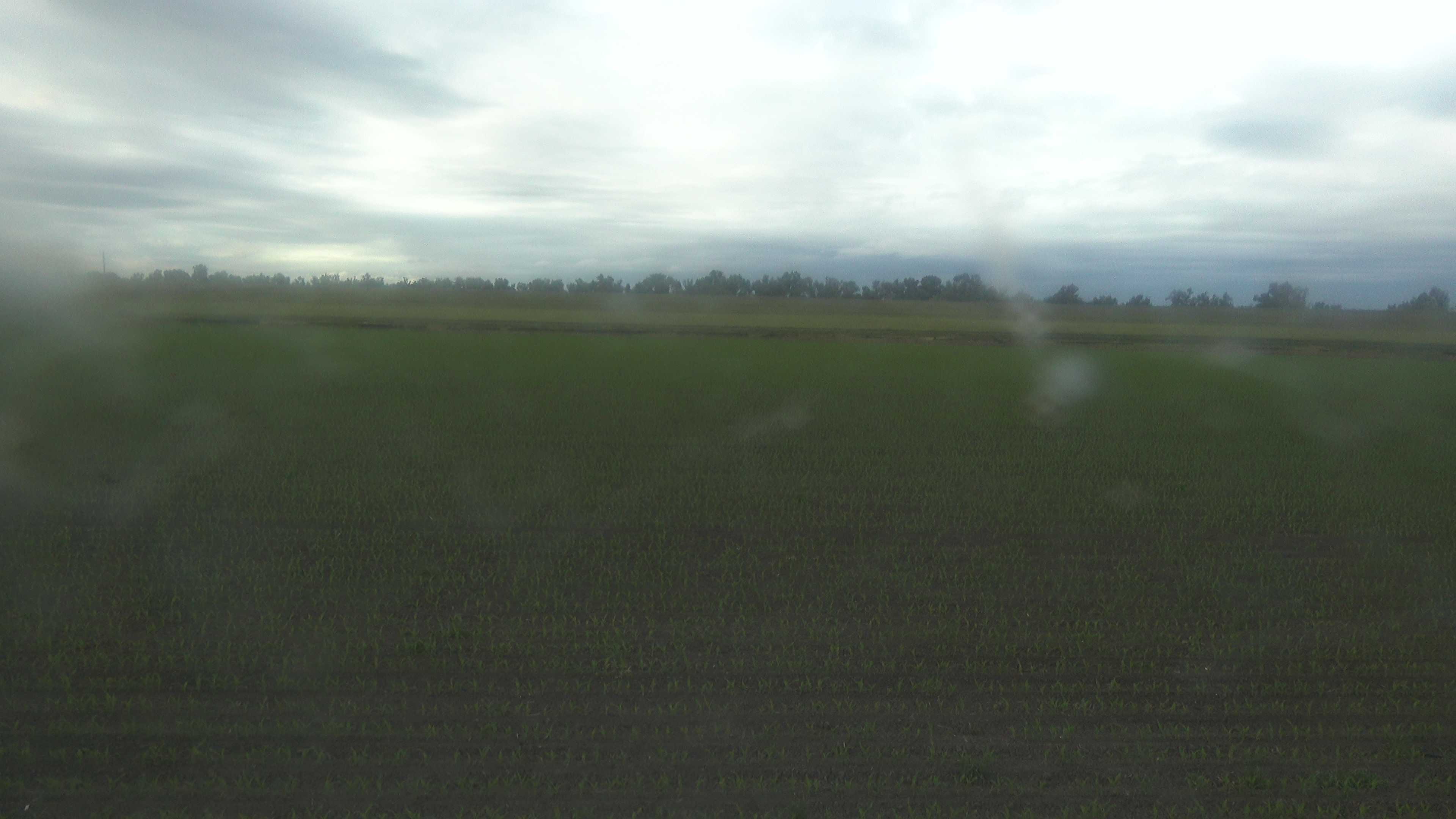 Webcam in United States