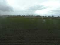 Webcam in United States