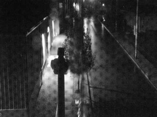 Street from a Window