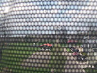 Street from a Window