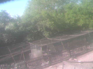 Security webcam