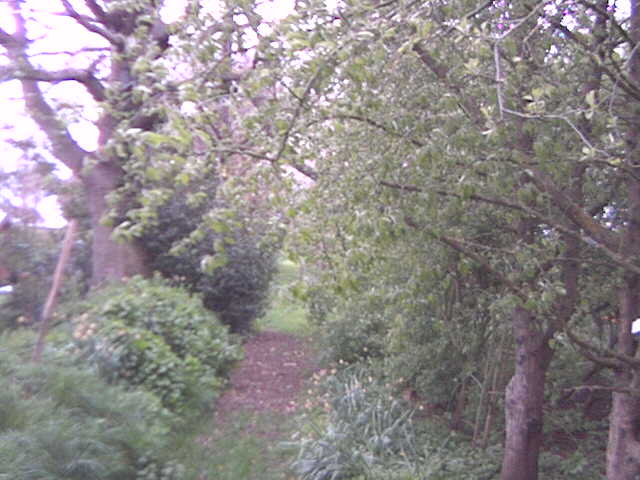 Webcam in United Kingdom