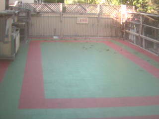 Dog Day Care