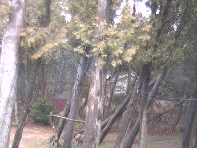 Webcam in Port Elgin,Canada