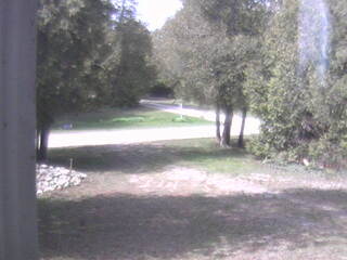 Woodland View