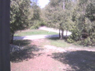 Woodland View