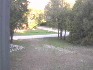 Woodland View