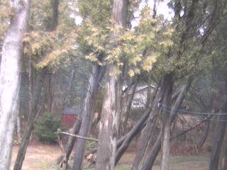 Webcam in Port Elgin,Canada