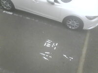 Car Park Cam