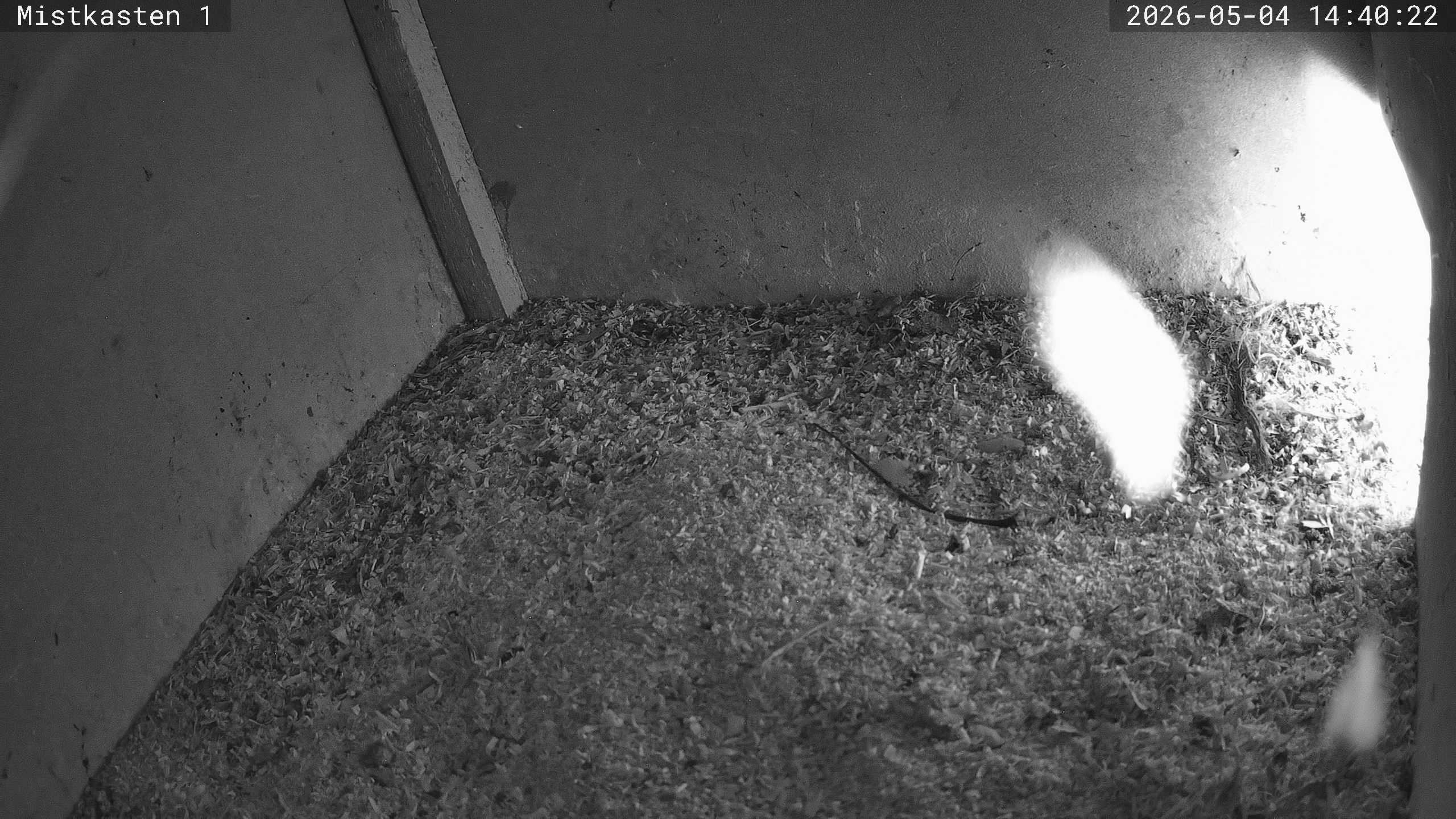 Webcam in Eisenach,Germany