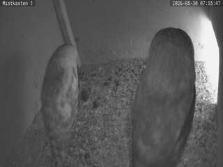 Security webcam