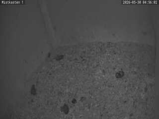 Security webcam