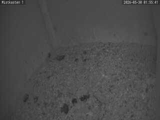 Security webcam
