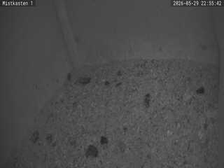 Security webcam