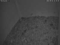 Nest webcam