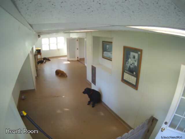 Webcam in Newark,United States