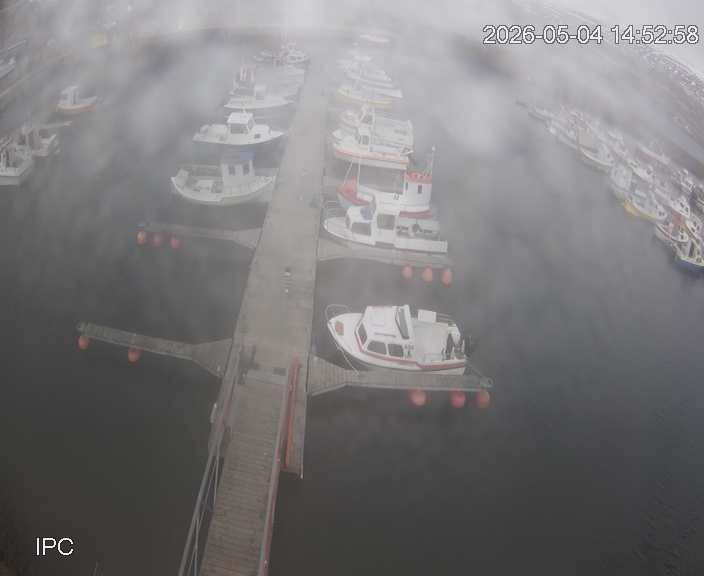 Webcam in United States