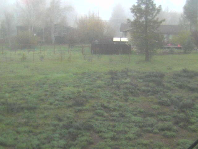 Webcam in Arcata,United States