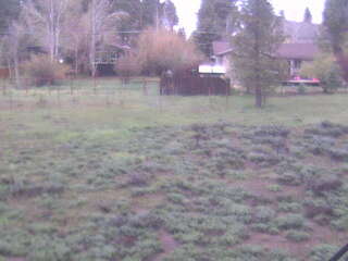 Webcam in Arcata,United States